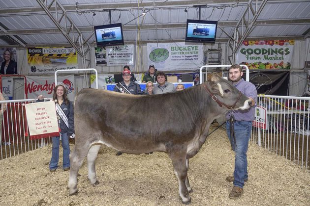 Reserve Champion Dairy Steer