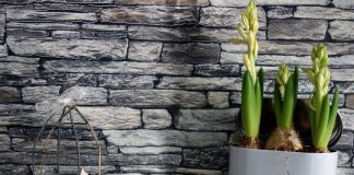 Best-dressed thrifty nest decor