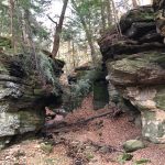 Lots of room to roam at The West Woods Ansel's Cave Trail