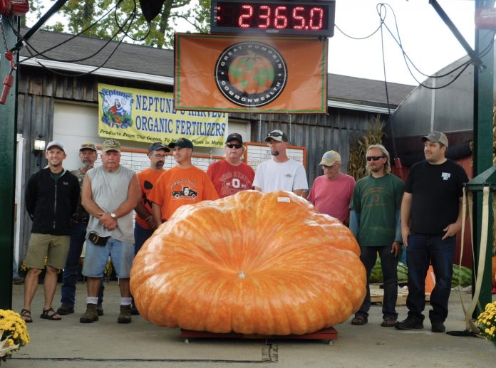 Ohio Valley Giant Pumpkin Growers Ohio Valley Giant Pumpkin Growers