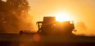 Harvest, baseball and dear old dad combine harvester