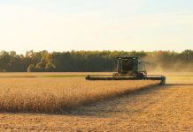 After USDA Reports, market searching for harvest lows harvester