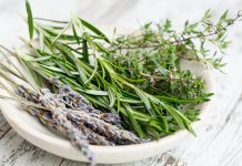 Workshop to focus on growing herbs on April 2 herbs