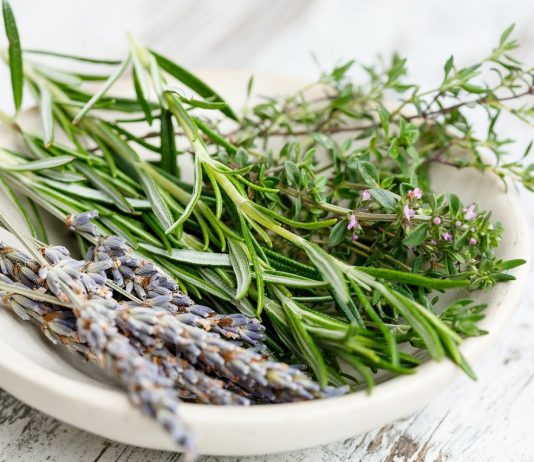 9 herbs to relieve cold and flu symptoms herbs