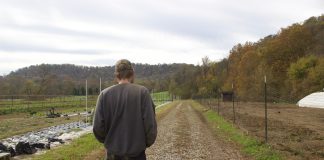 A man walks down a road on a farm.