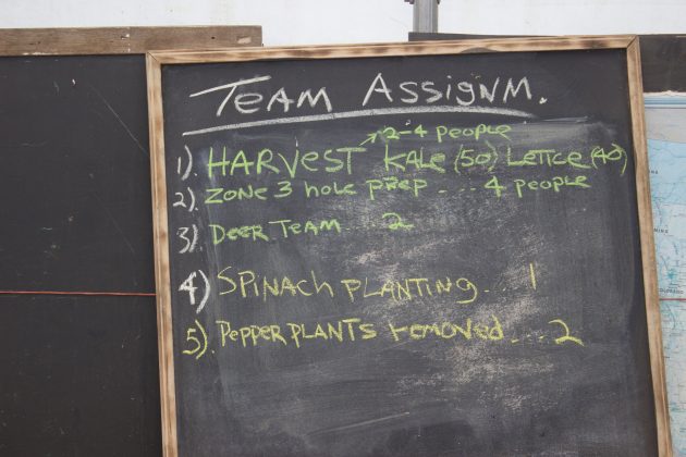 A chalkboard with team assignments written on it at a farm.