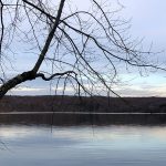Taking time to wonder at Moraine State Park Sunken Garden Trail