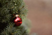 A new outlook on Christmas christmas tree
