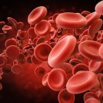 3d rendering red blood cells in vein