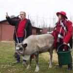 Rootstown Reindeer Farm spreads holiday joy, peace A man and and a woman stand in a pasture with a reindeer.