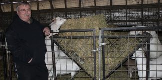 Ohio farmers convert former hog farm into intensive goat herd John Barnhart