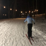 First snowstorm brings outdoor family fun Arbor Lane Loop Trail at Chapin Forest