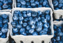 Ohio State offers online Food Business Central course blueberries