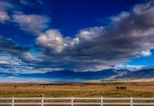 Reader: Consider all theories on climate change cattle and mountains