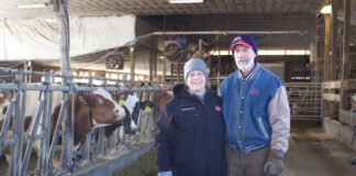 Fourth and fifth generations at Canon Dairy not afraid to try new things Two farmers stand in front of cows in a dairy barn.