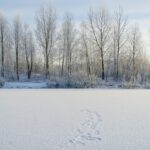 Dangers of frozen and cold water frozen lake