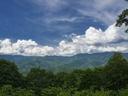 North Carolina settlers faced many challenges North Carolina