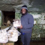 Dialing in: Wilcox connects with nature, local food, through mushrooms A man holds up a mushrooms growing in an old spring house.