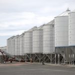 Grain markets still weak after USDA reports grain silos