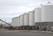 Grain markets still weak after USDA reports grain silos
