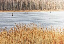 How to stay safe when you’re ice fishing ice fishing