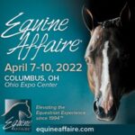 22-OH-Banner-Ad-300-x-300