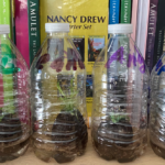 How to make a water bottle terrarium for seedlings, starter plants water bottle terrariums