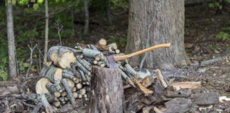 splitting wood