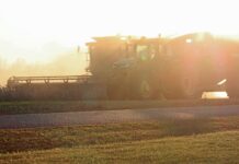 How much is American agriculture really ‘ravaging the air, soil and water?’ harvest, combine, tractor