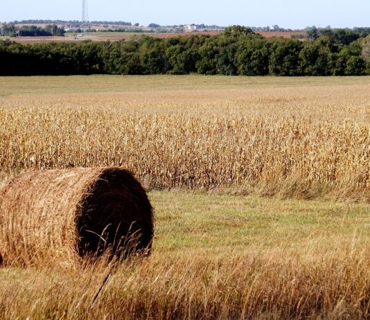 Kansas faced a lot of pushback before it entered the Union as a free state Kansas