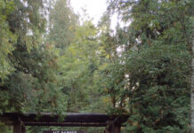 Celebrating an anniversary with us