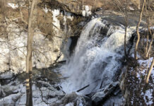 Enjoying two of Ohio’s American treasures Brandywine Creek
