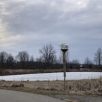 Enjoying a ‘Field of Opportunity’ close to home Walnut Grove