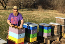 Red Beard Bees Beekeeper Dave Noble