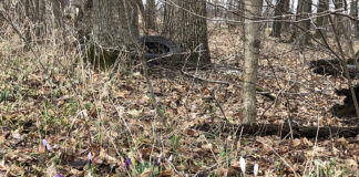 Reclaiming spring’s beauty by picking up trash roadside trash