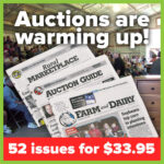 Auctions Newsletter Subscription Sale