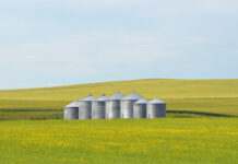 Grain bin and silo safety tips for National Farm Safety and Health Week grain silos