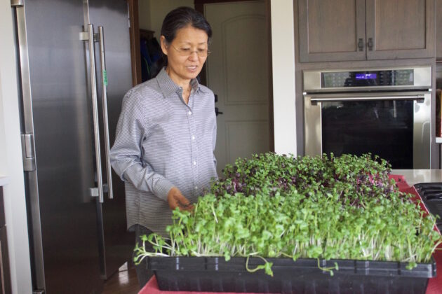A woman stands in a kitchen with trays of microgreens on the counter.