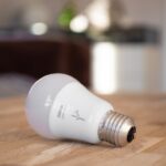 Smart bulbs, dumb human smarthome