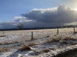 From ranching to records: Finding a season of peace amidst the holiday whirlwind winter