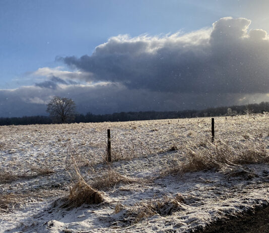 From ranching to records: Finding a season of peace amidst the holiday whirlwind winter