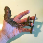 You identified a honey of a mystery item, can you do it again?