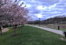 Athens County is a mecca for outdoor enthusiasts cherry trees