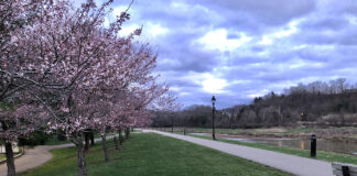 Athens County is a mecca for outdoor enthusiasts cherry trees