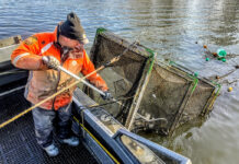 An inside look at walleye and saugeye management in Ohio Dan Wright