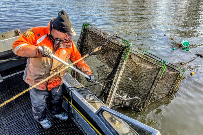 Dan Wright Dan Wright