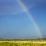 Dakota plains life demands deep roots rainbow in South Dakota
