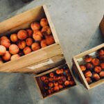 Millions set to go to food banks could boost local farm purchasing undefined