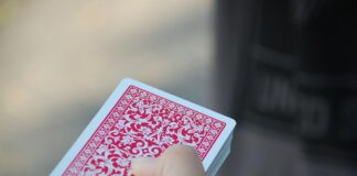 Games teach how to be diplomatic winners, good losers playing cards