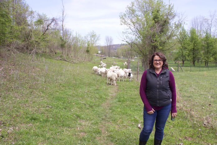 melwood_farm_1 A woman standing in front of a flock of sheep